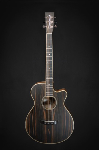 Tanglewood tru4ceae electro - tru4ceae,