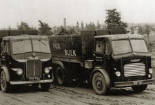 B/W PHOTO: RICHARD BIFFA LEYLAND HIPPO 6 WHEEL BULK TIPPER - WMY 38