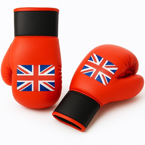 Kids boxing gloves sparring - gloves,