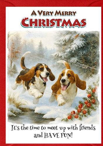 Basset hound dog - hound, a6