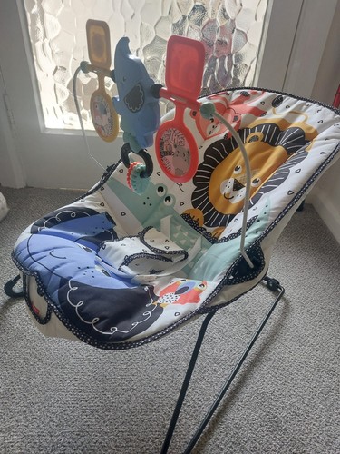 Fisher price baby bouncer - baby,