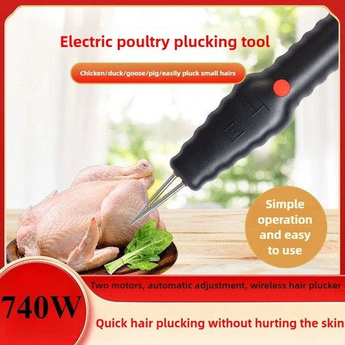 Portable electric chicken - portable,