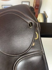 Synthetic GFS Saddle Genesis GP