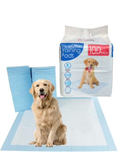 100 large puppy - 100, training