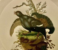 Portmeirion Birds Of Britain 10.25 Inch Dinner Plate BLACK COCK