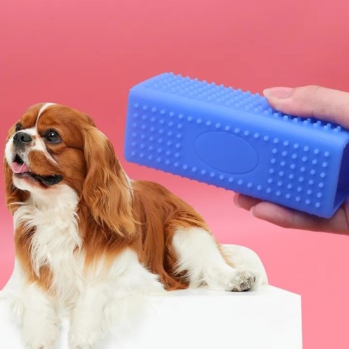 Car detailing pet - hair, brush