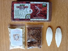 AFRICAN SNAIL SUBSTRATE, FOOD