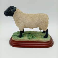 Border Fine Arts Suffolk Ram
