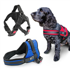KCT NO PULL PADDED DOG HARNESS
