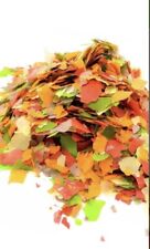 giant african land snail 1