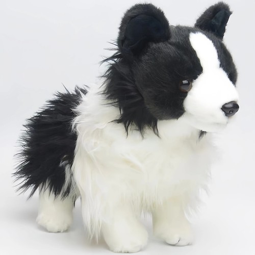 Dougles chase border collie - dougles,