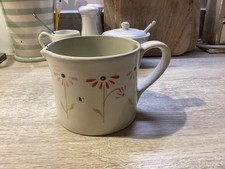 Susie watson Echinacea Planter