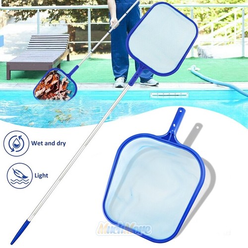Swimming pool leaf - swimming,