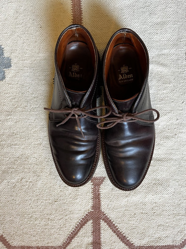 Alden color shell - alden,