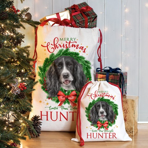Black springer spaniel - springer,