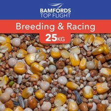 Bamfords Breeding & Racing