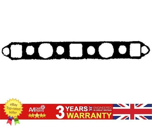 Intake exhaust manifold gasket - exhaust,