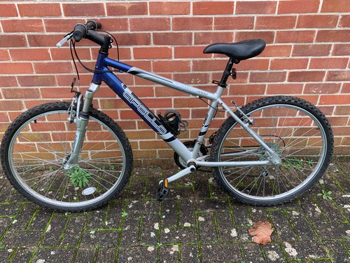 Ladies apollo enduro 3000 - ladies,
