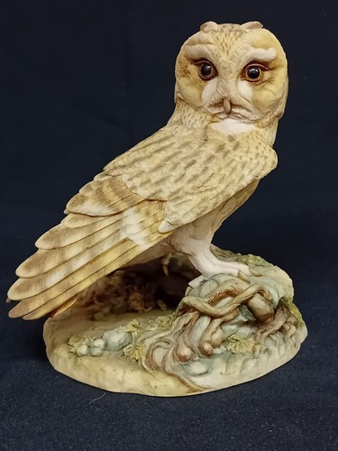 Teviotdale barn owl - teviotdale, 'barn