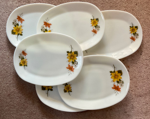 Jaj pyrex oval steak plates - jaj,