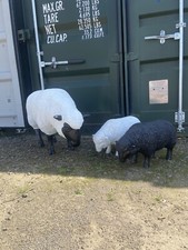 X3 Life Size Sheep Prop Statue