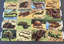 Vintage embossed paper scraps