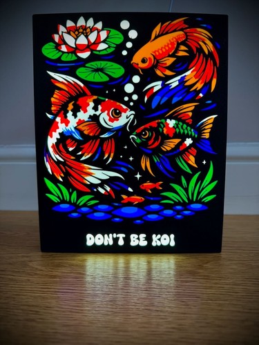 Don koi led light box - don’t, be