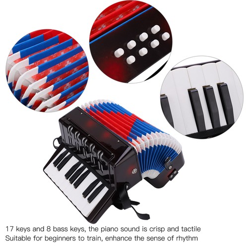 Accordion musical piano - accordion,