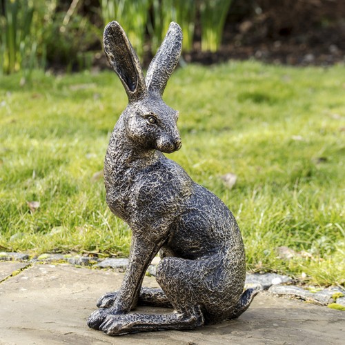 Aged gold march hare garden - gold,