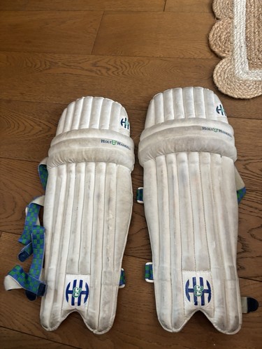 Holt haskell boys cricket - &,