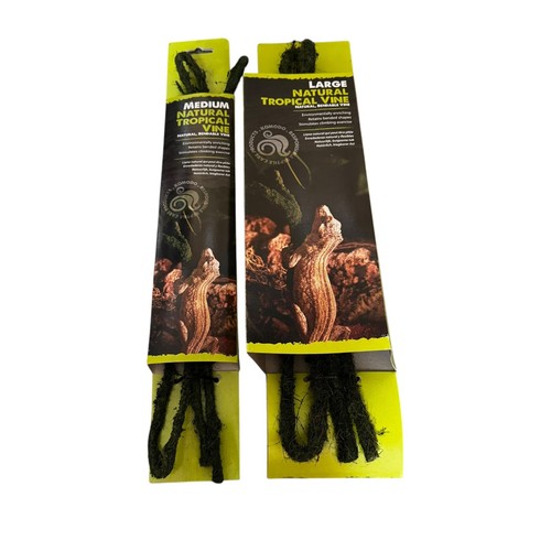 Komodo natural vine reptile - natural,