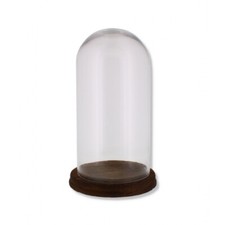 Glass Display Dome Bell Jar
