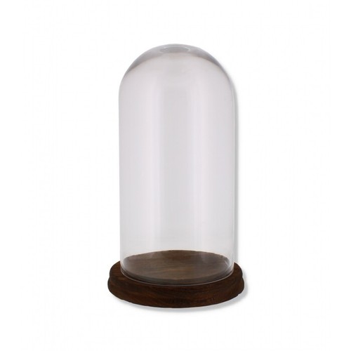Glass display dome bell - glass,