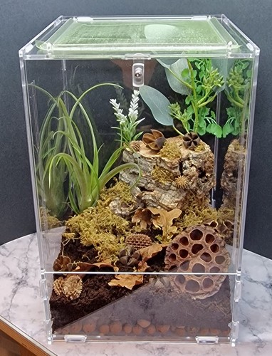 Mantis den large enclosure - mantis,