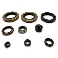 KX500 1998 ENGINE OIL SEAL KIT
