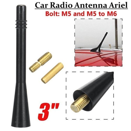 Car aerial bee sting - aerial,