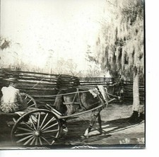 T11-63758 ca 1900 Photo