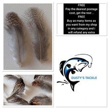 English Partridge Brown Back