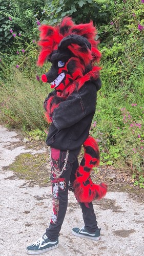Dean the yeen - hyena, partial