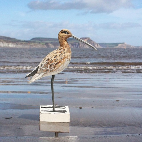 Curlew bird standing wooden - curlew,