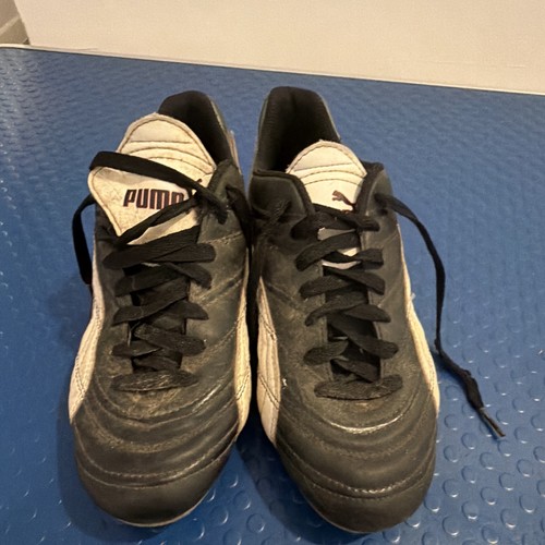 Puma king - puma,