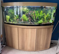 JUWEL VISION 450 LED Aquarium