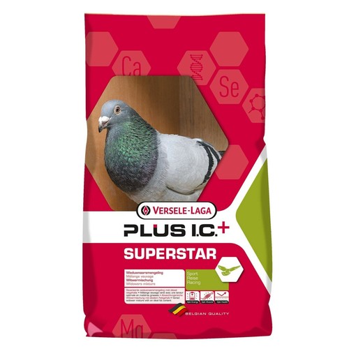 Versele laga superstar plus - superstar, ic