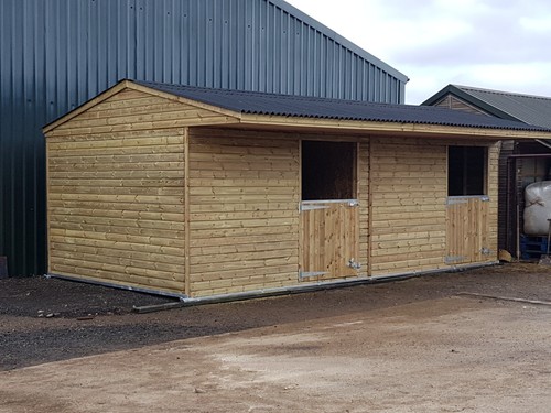 Timber wooden horse - horse, stable