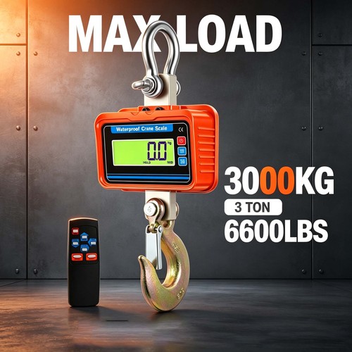 3000kg crane scale - crane,