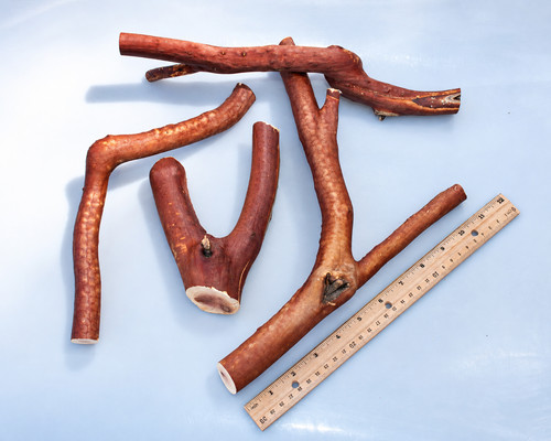 Manzanita wood branch for - wood,