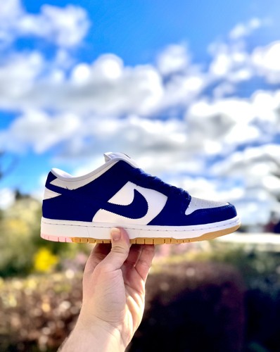 Deadstock nike dunk low pro - dunk,