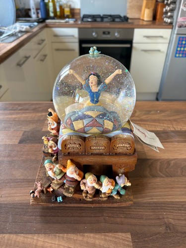 Disney snow globe rare