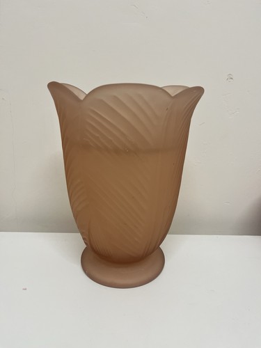 Bagley rare colour tulip - colour,