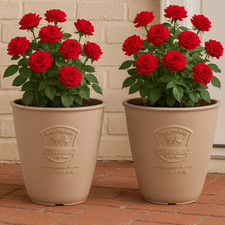 Loire Tall Olive Planter